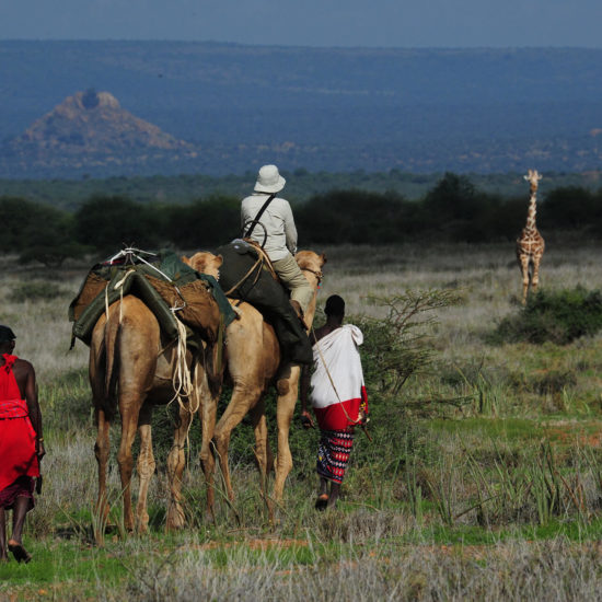 Kenya Safari Walking Package